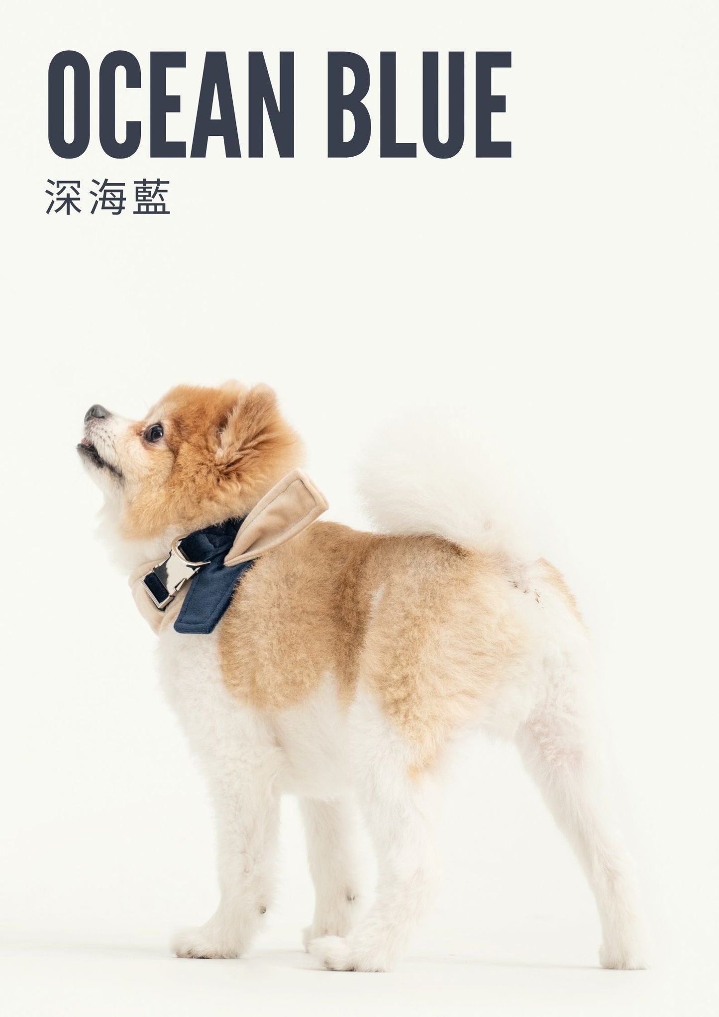 2 i 1 BANDANA - Beige/Blå