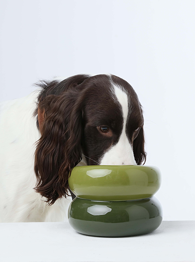 Soufflé Pet Bowl - Avokado Grön 