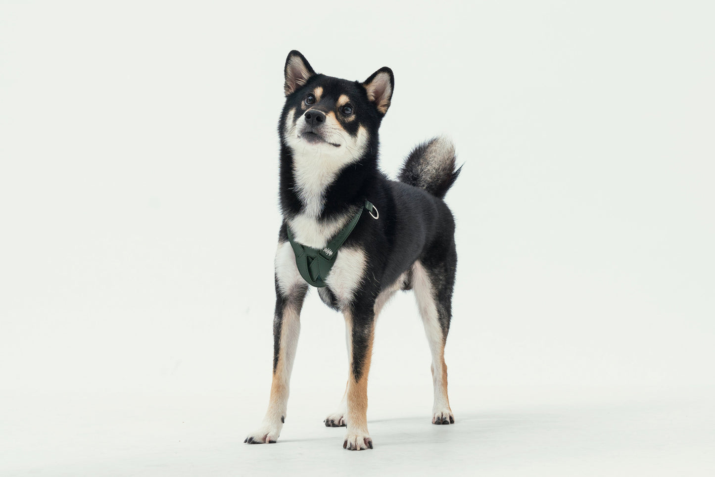HART PRESSURE RELEASE HARNESS - GREEN