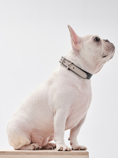 HART DOUBLE COLORS COLLAR - BLACK BEIGE