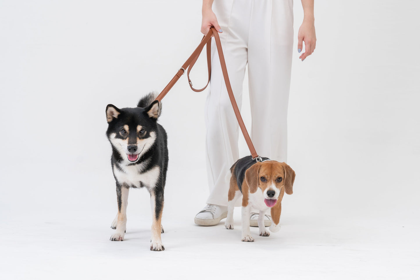 HART MULTI-FUNCTION LEASH - DARK GREEN