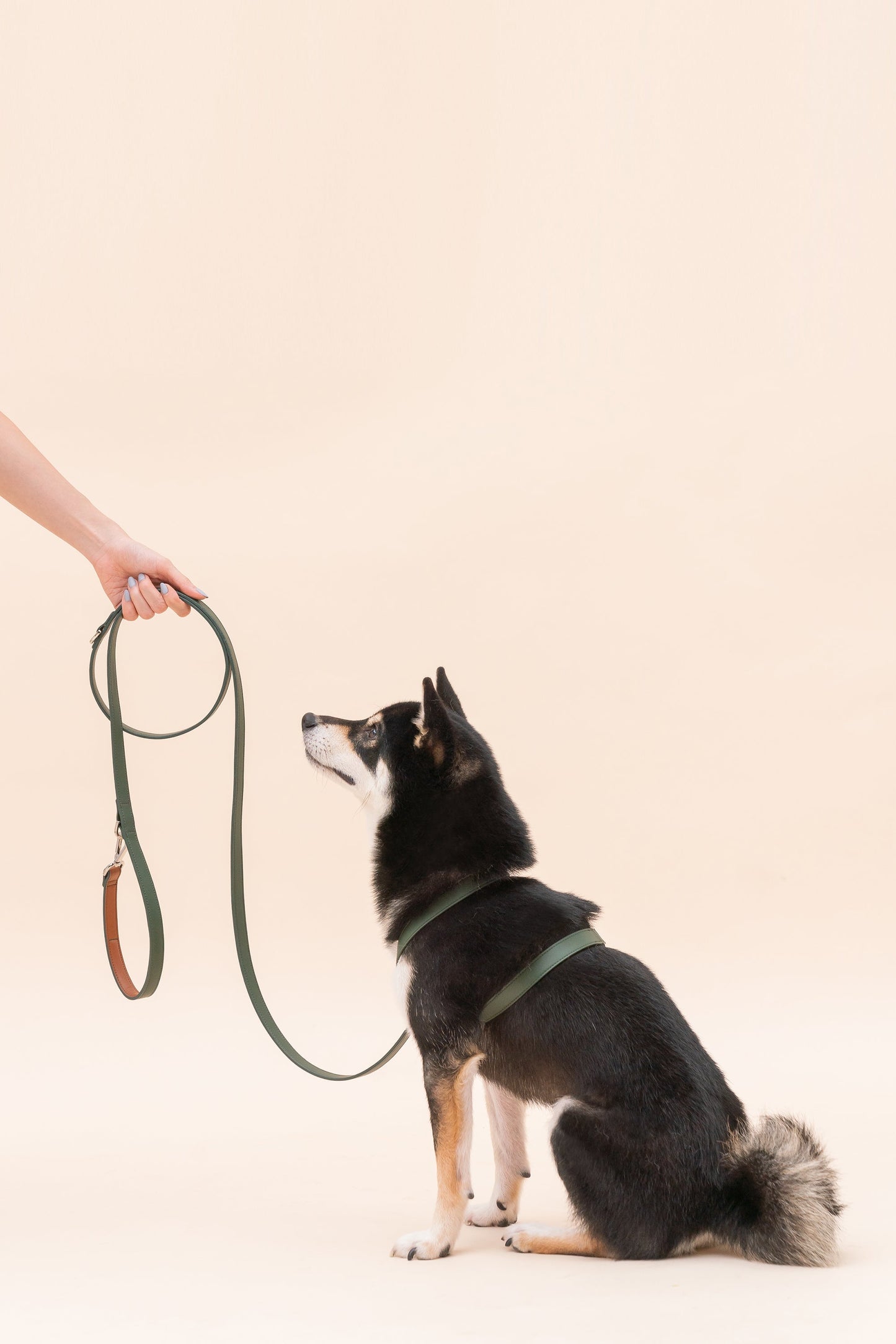 HART MULTI-FUNCTION LEASH - NAVY BLUE