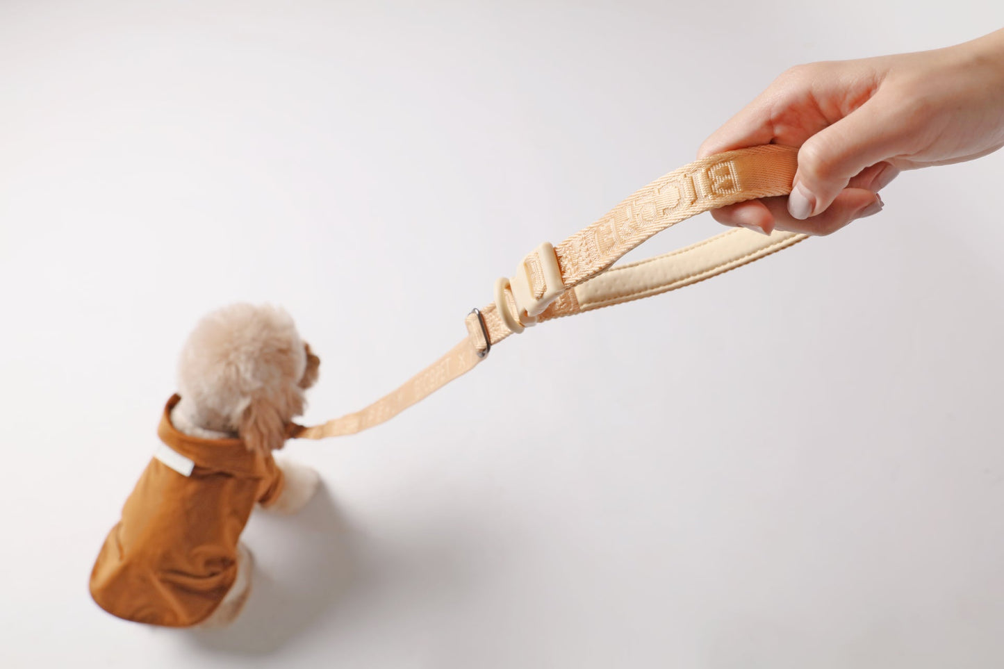 PADDED  ACTIVE  PET LEASH  - APRICOT