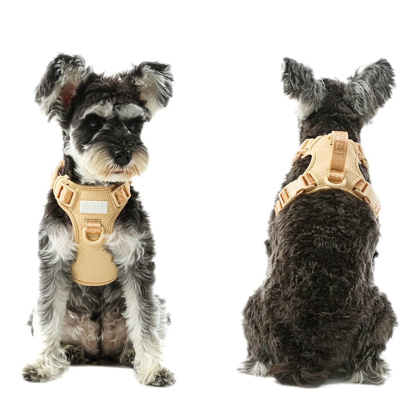 NO PULL ACTIVE  PET HARNESS - APRICOT