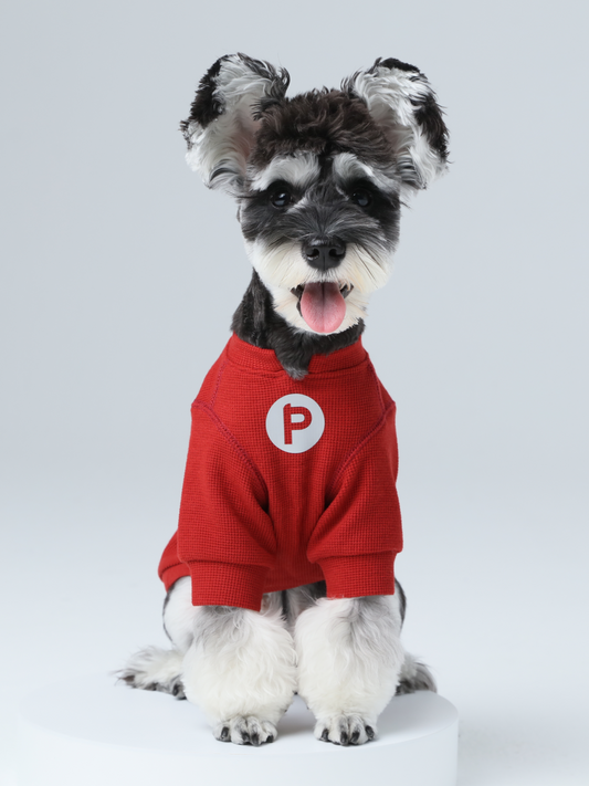 Red waffle knit dog t-shirt with embroidery detail by PEHOM