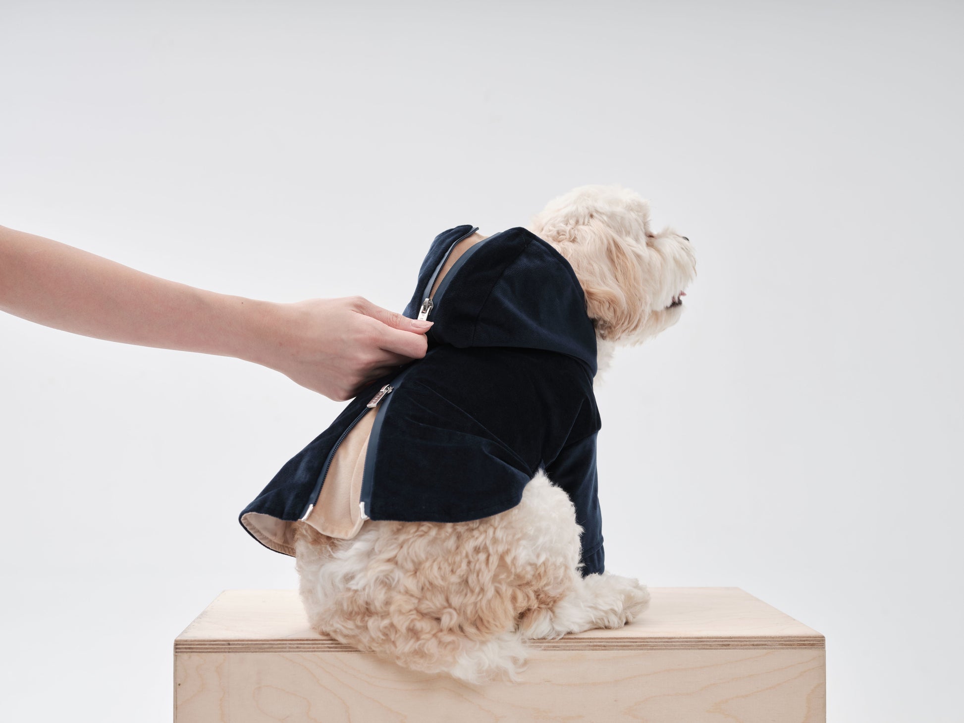 Back view showing the stylish hood and convenient leash hole on the flannel hoodie