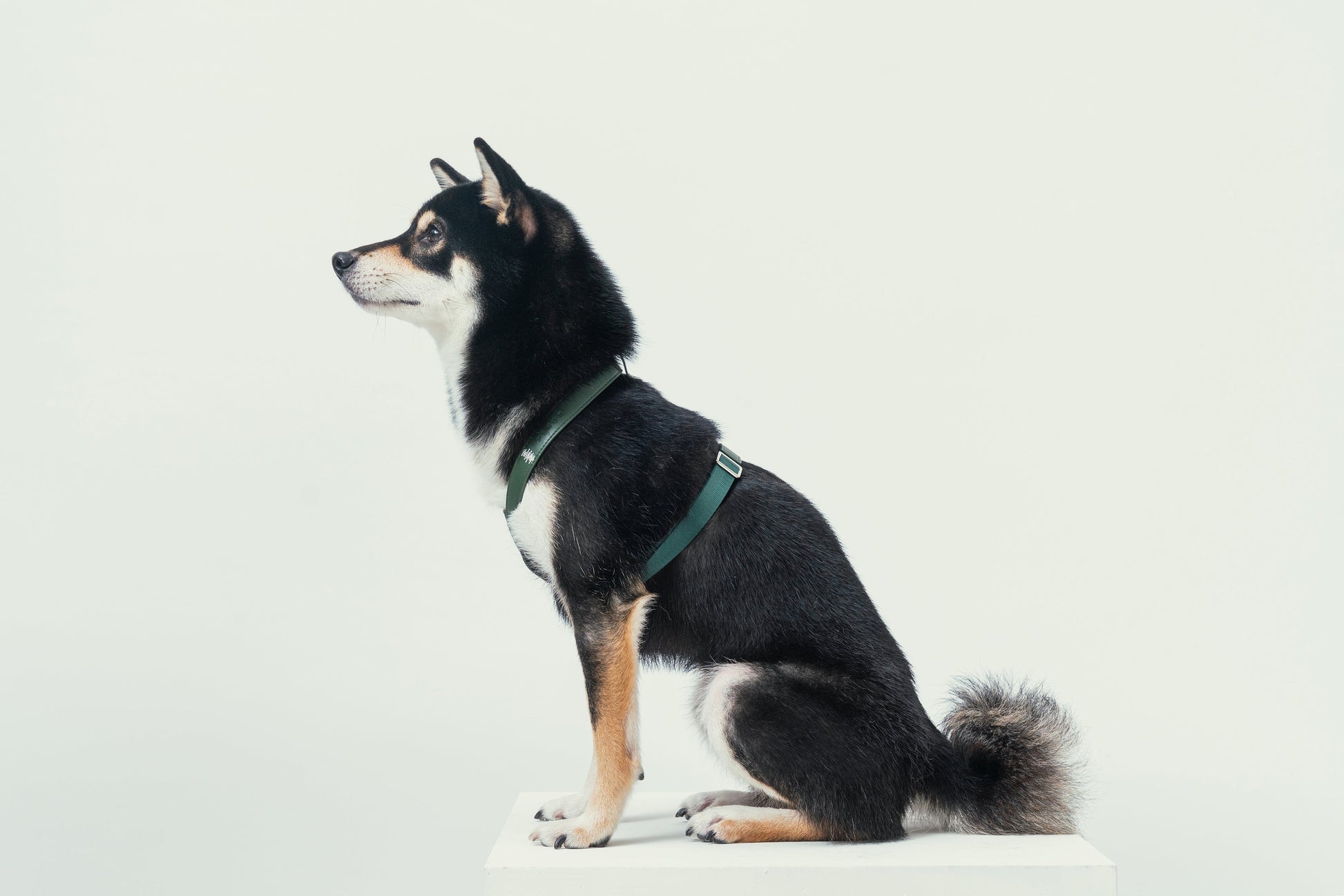 Side profile of green harness showing breathable air mesh lining and comfortable fit