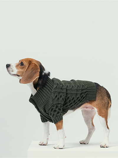 Side profile of thick green dog sweater showing high-cut belly design