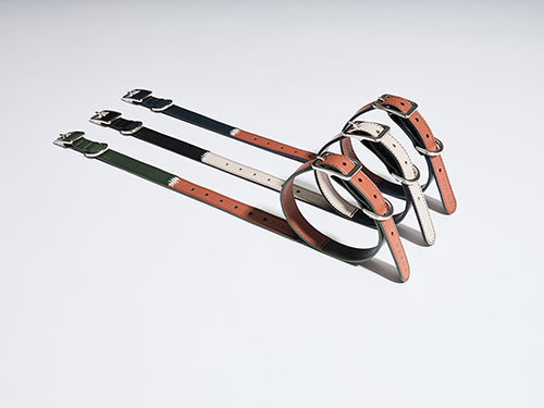 Close up of high-density nylon webbing texture on the green and orange collar