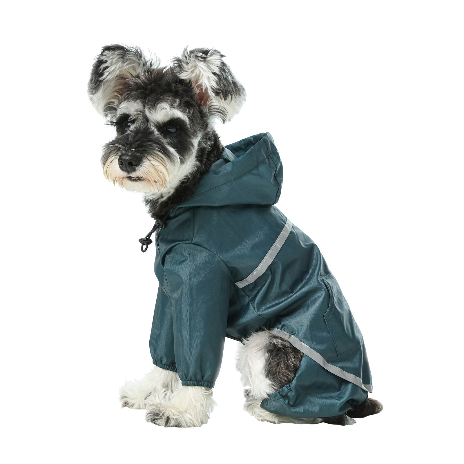 Side profile of dog wearing blue full body rain jacket for maximum mud protection