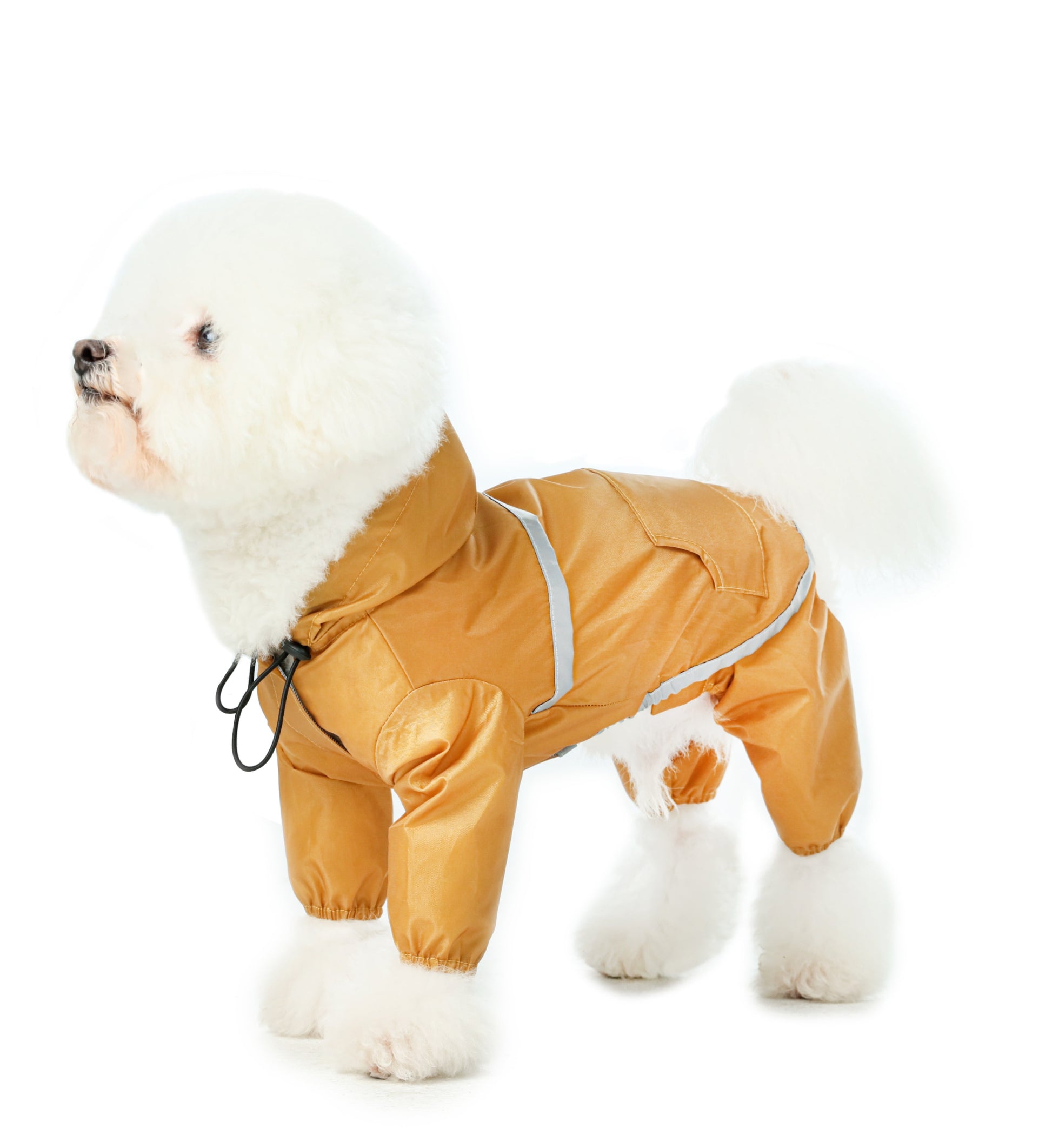 Side profile of dog wearing yellow full body rain jacket for maximum mud protection