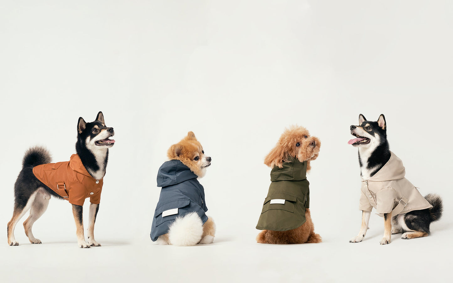 Side profile of gray water-repellent dog raincoat showing adjustable belly strap