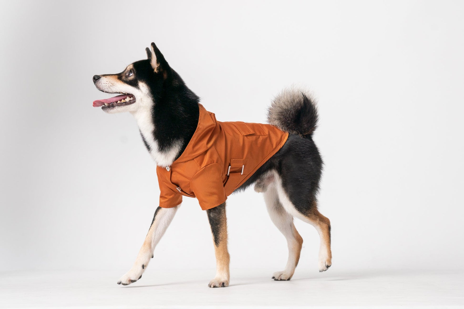 Side profile of orange pet raincoat showing hood and adjustable fit