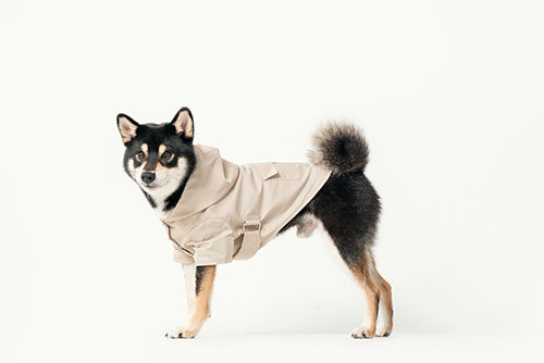 Side profile of beige pet raincoat showing hood and adjustable fit