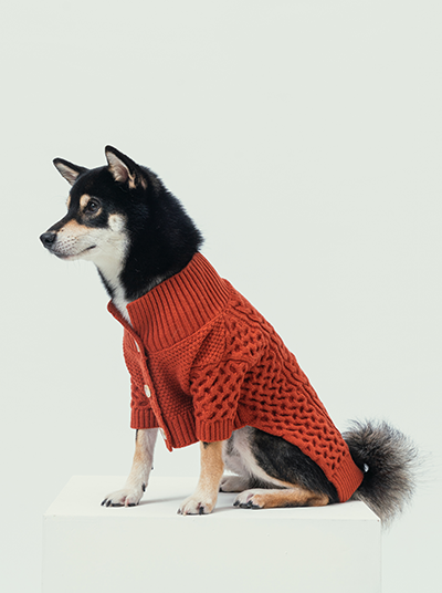 Side profile of thick orange dog sweater showing high-cut belly design