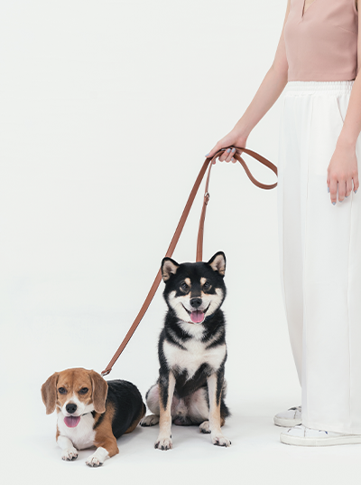 PEHOM amber orange HART multi-function dog leash displayed with adjustable lengths