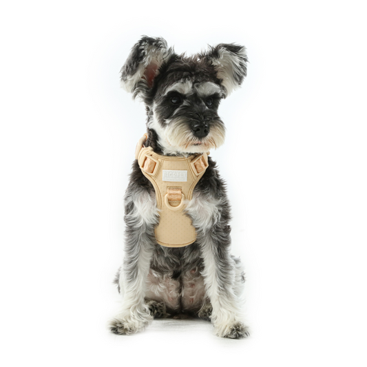 Front view of PEHOM apricot no pull dog harness with adjustable straps