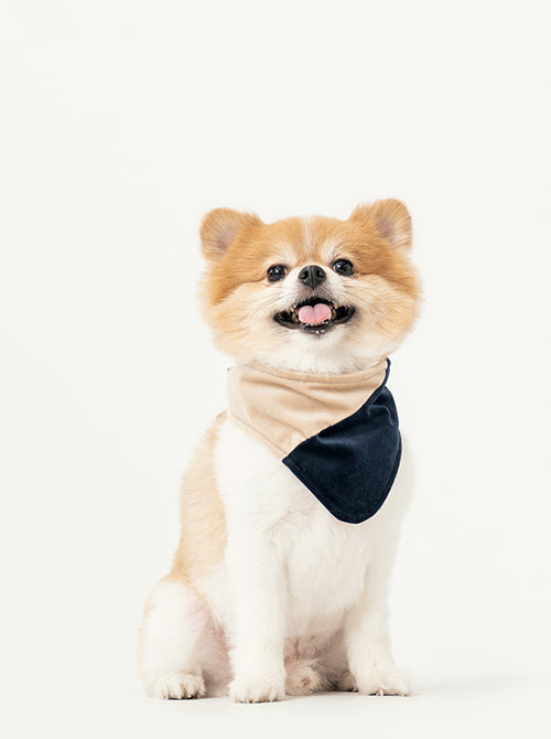 Front view of PEHOM beige and blue color-block pet bandana