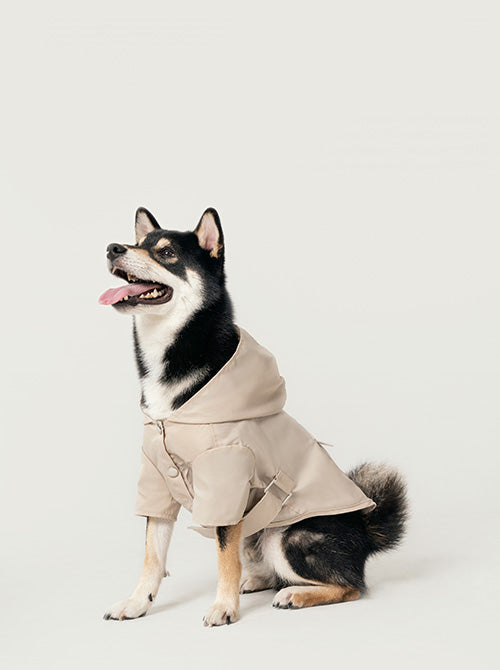 Front view of minimalist beige water-repellent dog raincoat