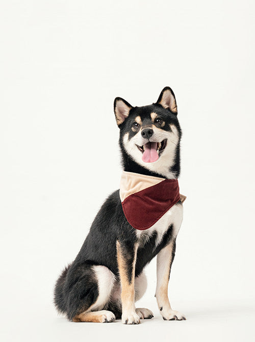 Front view of PEHOM beige and red color-block pet bandana