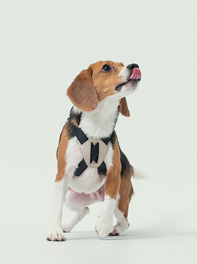 Front view of PEHOM black and beige slow pressure dog harness with shock-absorbing foam