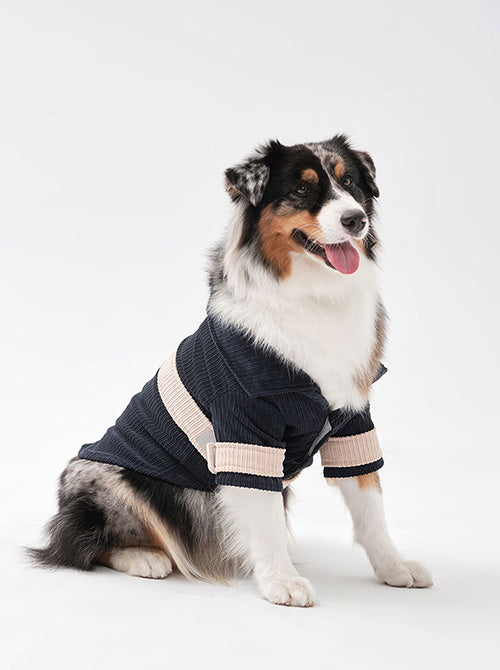 Front view of PEHOM blue and beige color-block dog t-shirt