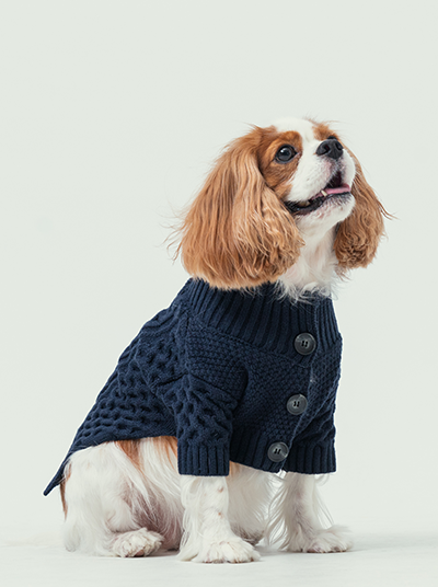 Front view of PEHOM blue knit dog cardigan with button closure