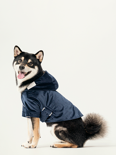 Front view of blue flannel stretch dog hoodie with snap button closure