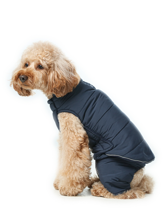 Front view of PEHOM blue reversible dog vest showing water-repellent nylon side