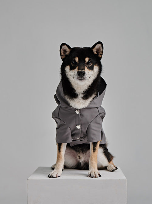 Front view of PEHOM Gray Bowery Dog Raincoat with high-visibility reflective details
