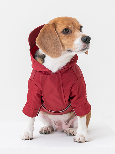Front view of PEHOM burgundy adjustable dog raincoat with hood
