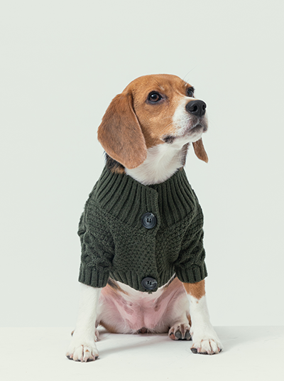 Front view of PEHOM dark green lapel cardigan for dogs with button closure