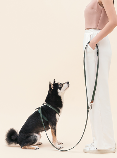 PEHOM dark green HART multi-function dog leash displayed with adjustable lengths