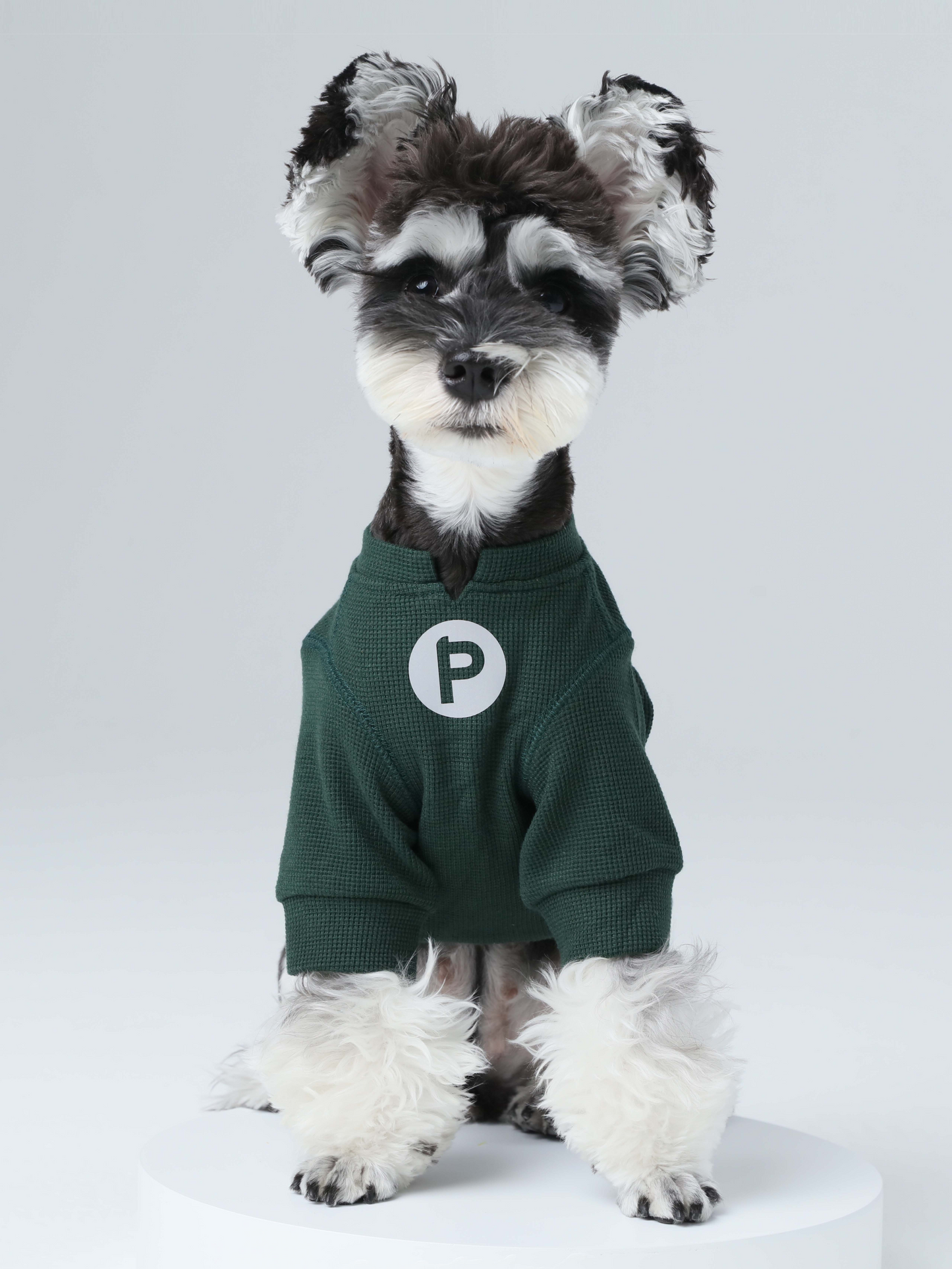 Front view of PEHOM green waffle knit dog t-shirt with embroidered logo