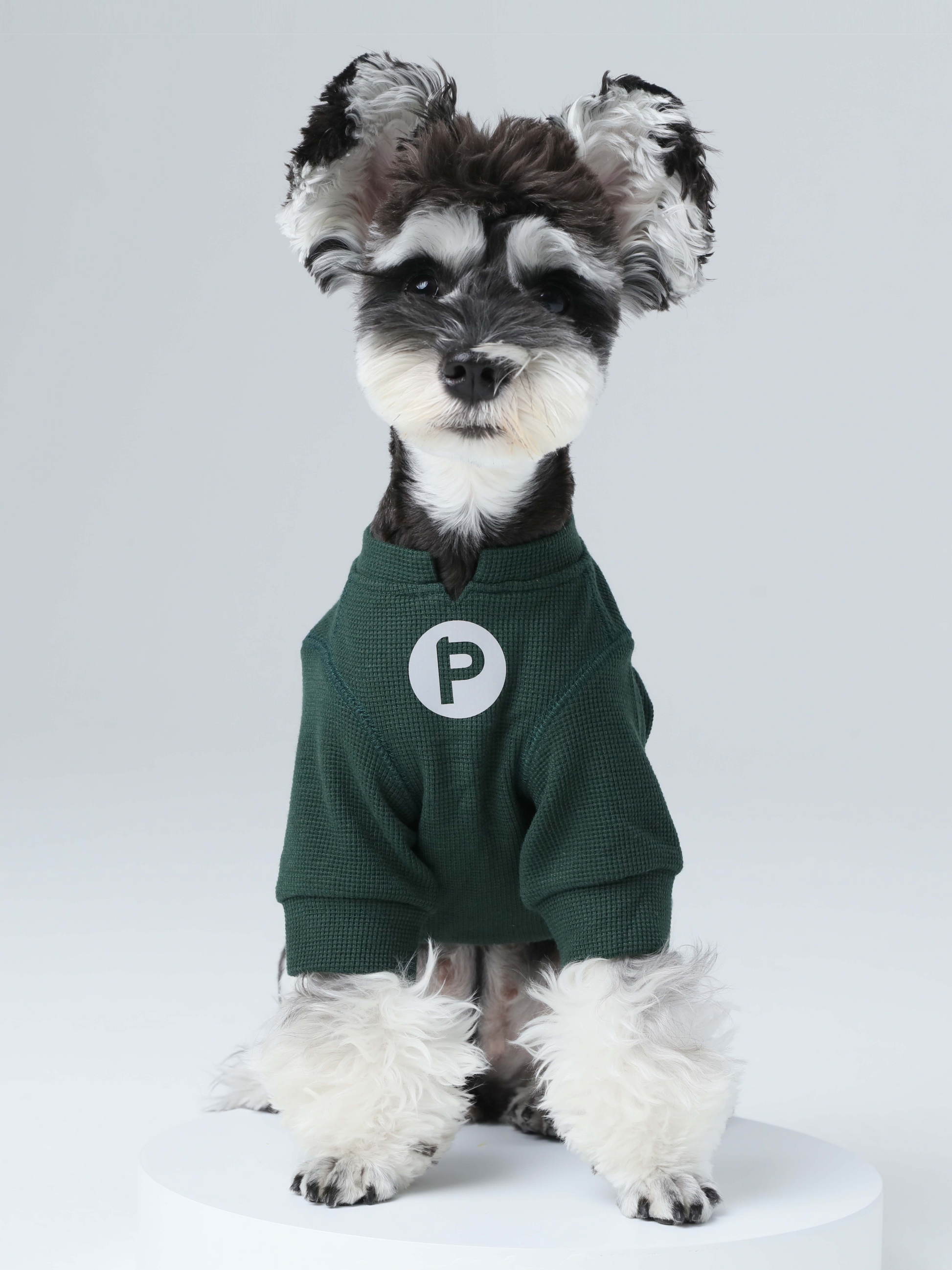 Front view of PEHOM green waffle knit dog t-shirt with embroidered logo