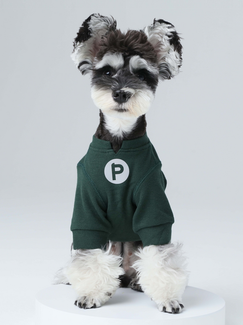Front view of PEHOM green waffle knit dog t-shirt with embroidered logo
