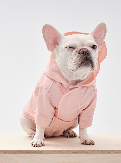 Front view of PEHOM light pink adjustable dog raincoat with hood