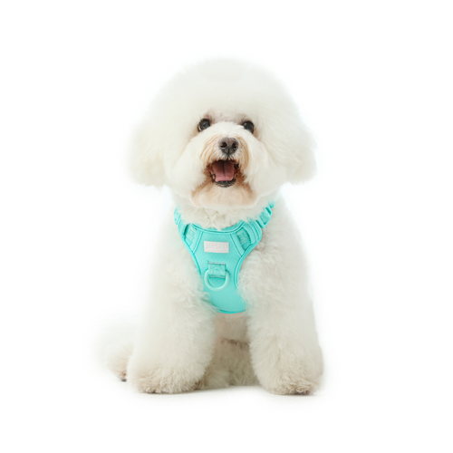 Front view of PEHOM mint green no pull dog harness with adjustable straps