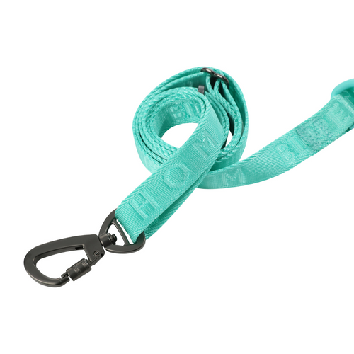 PEHOM mint green active dog leash with padded handle for comfort