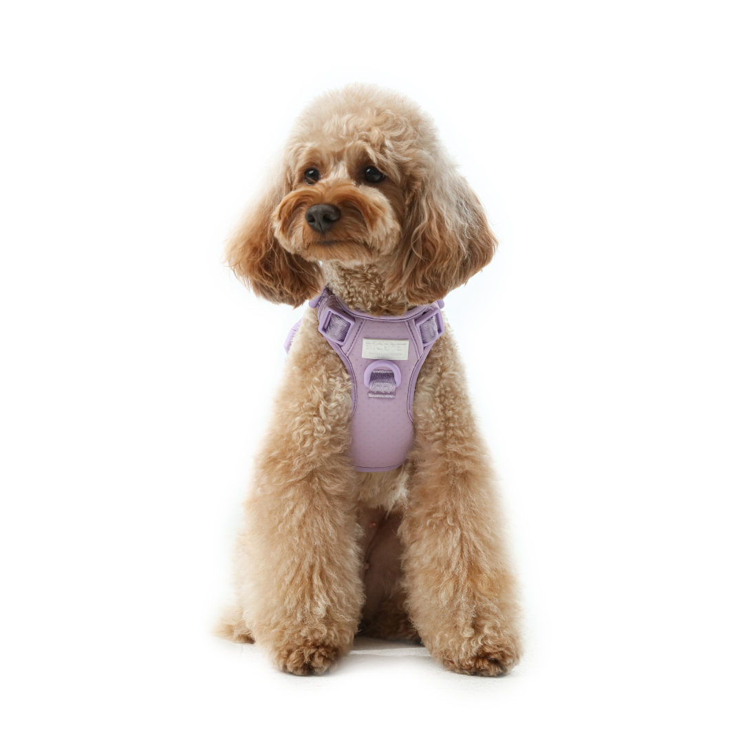Front view of PEHOM mint purple no pull dog harness with adjustable straps