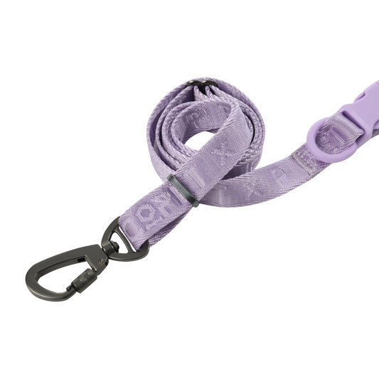 PEHOM mint purple active dog leash with padded handle for comfort