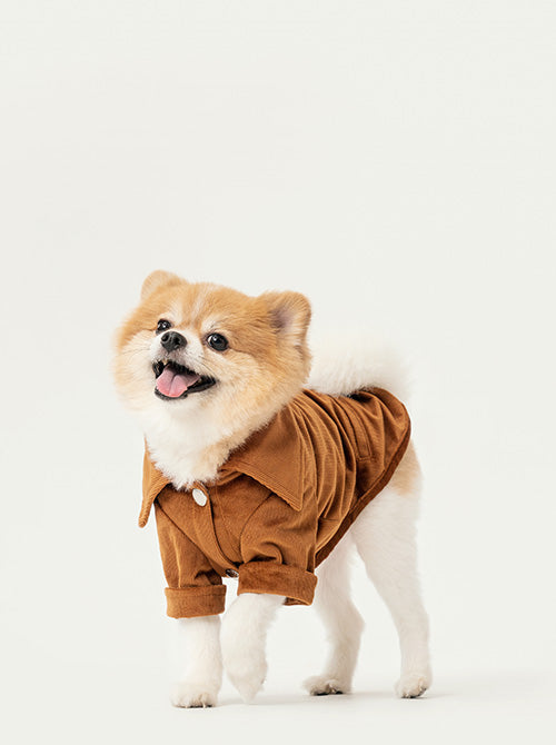 Front view of PEHOM orange cotton dog t-shirt with embroidered logo