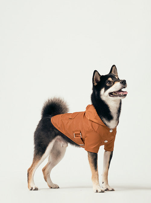 Front view of vibrant orange water-repellent dog raincoat for rainy days