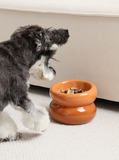 A dog eating from PEHOM Amber Orange Soufflé Pet Bowl with tilted opening