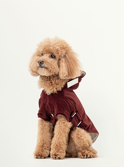 Front view of wine red flannel stretch dog hoodie with snap button closure