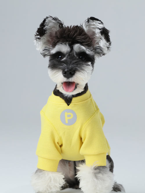 Front view of PEHOM yellow waffle knit dog t-shirt with embroidered logo