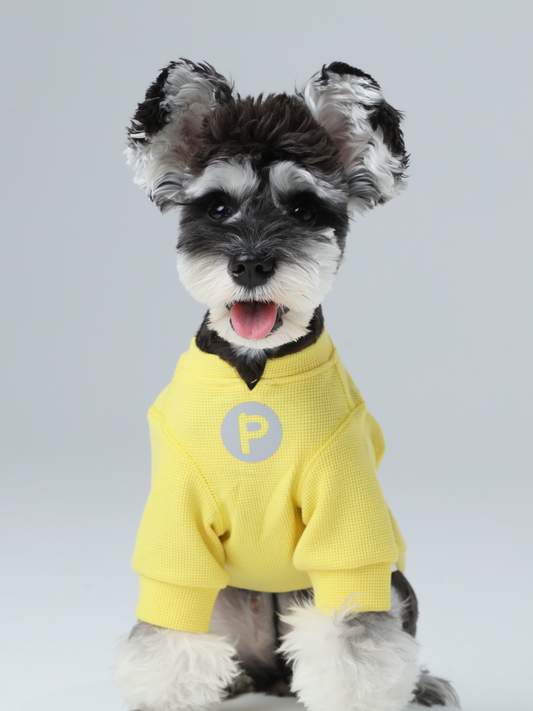 Front view of PEHOM yellow waffle knit dog t-shirt with embroidered logo