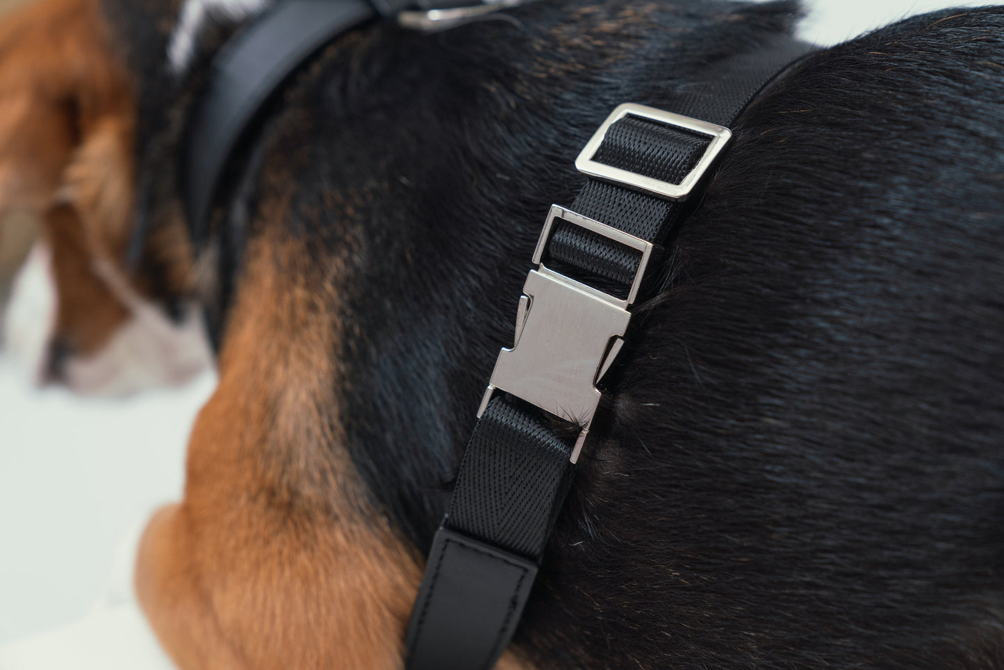 Close up of soft slow rebound sponge padding designed to cushion impact on dog's chest
