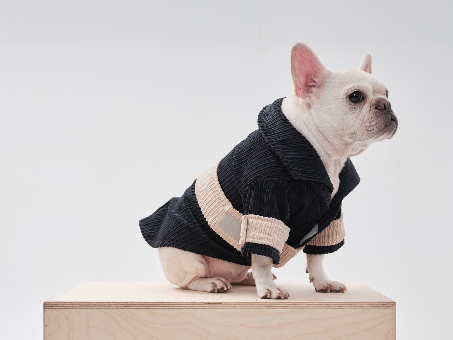 Side profile of stretchy blue and beige pet shirt showing comfortable fit