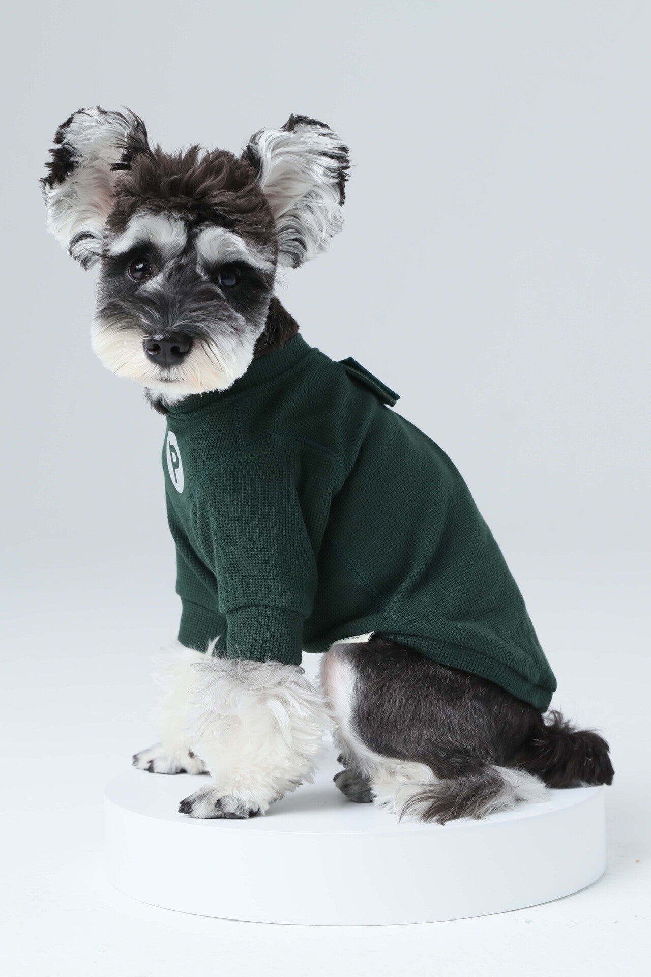 Side profile of dog wearing soft and stretchy green waffle t-shirt